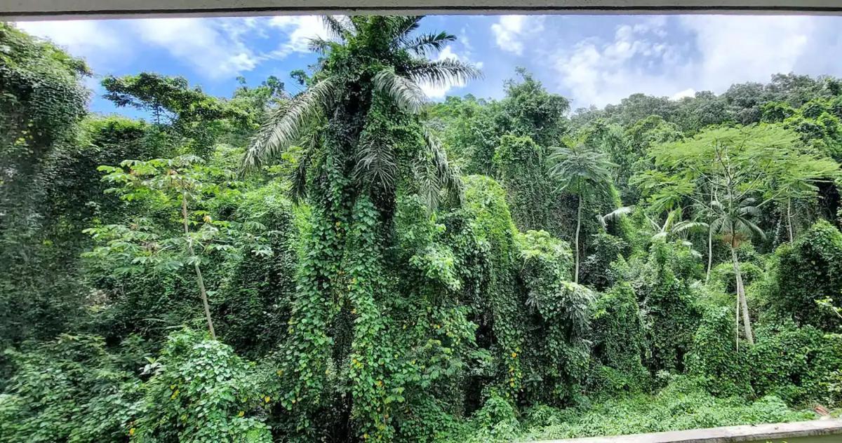 Apto Moderno E Confortavel - Praia Grande Ubatuba Kültér fotó